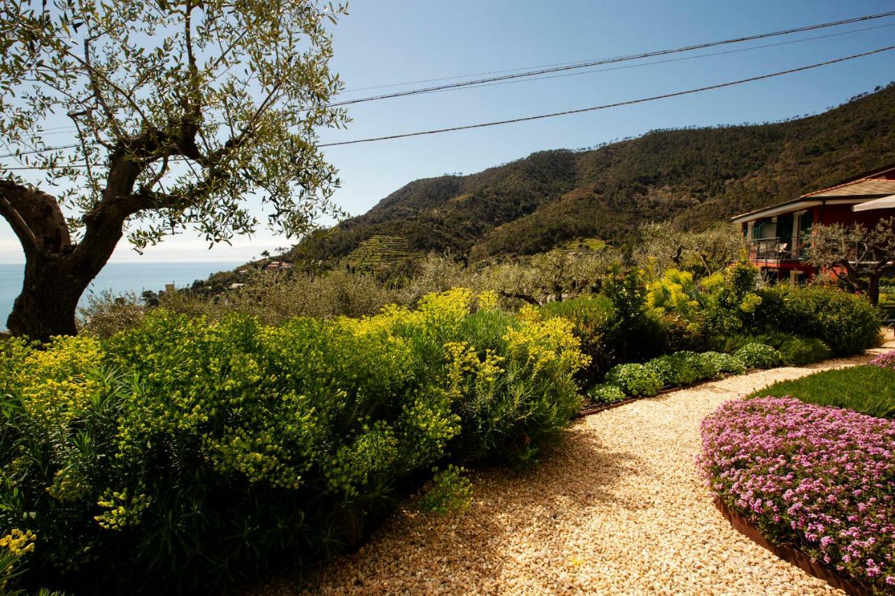 B&B Il Parco Monterosso al Mare Exteriör bild