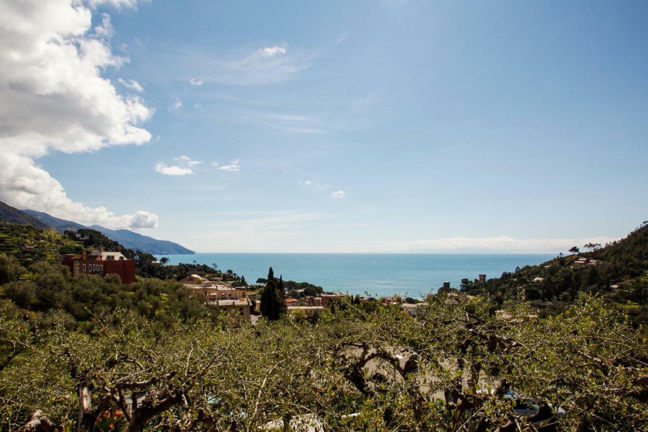 B&B Il Parco Monterosso al Mare Exteriör bild