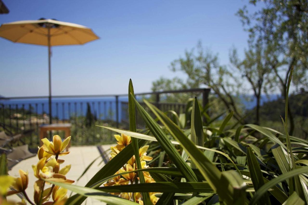 B&B Il Parco Monterosso al Mare Exteriör bild